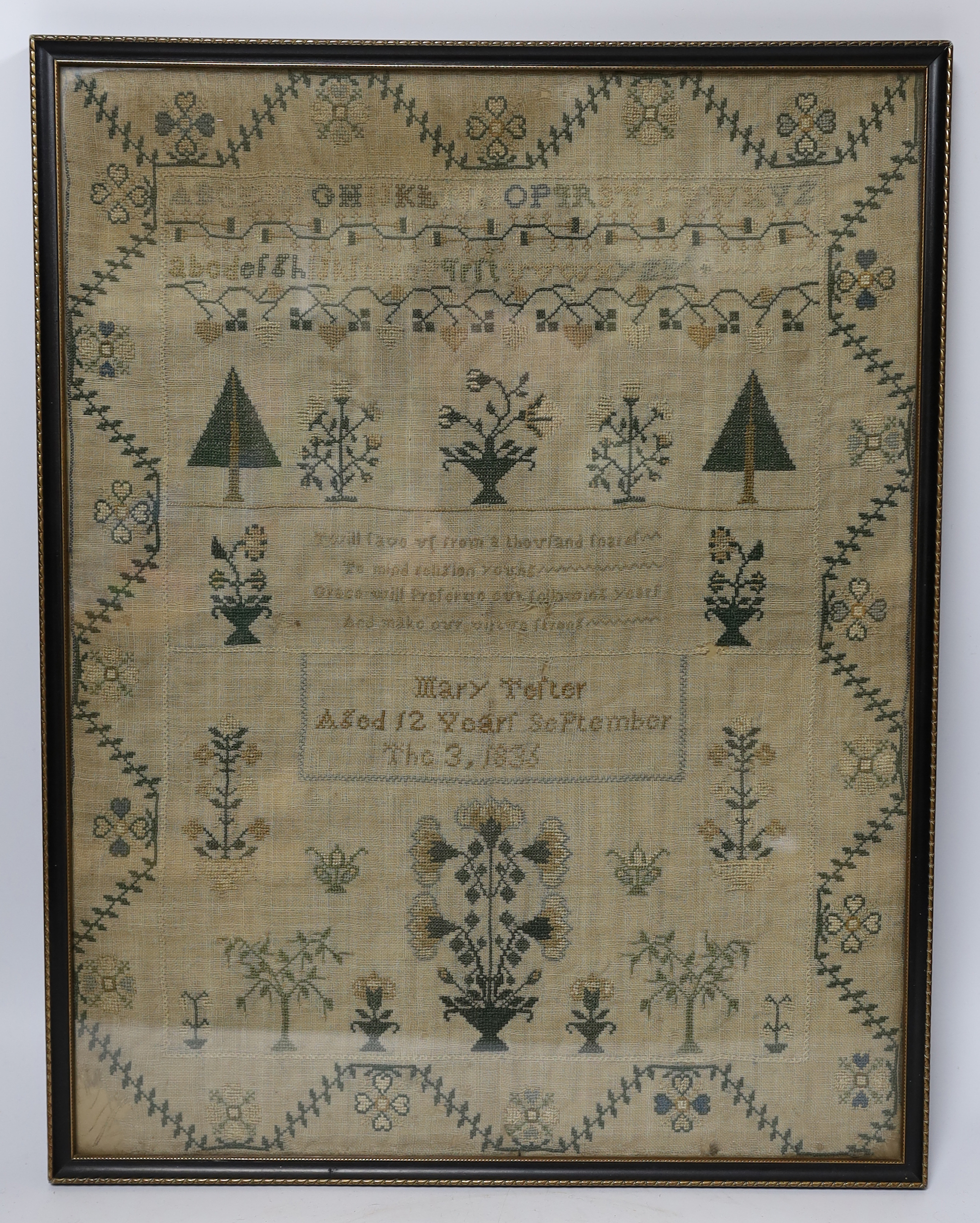 A framed William IV sampler, by Mary Telter, aged 12 years September the 3, 1833, with alphabet, religious verse, tree and floral spot embroidery all within an embroidered border, sampler 32cm wide x 41.5cm high